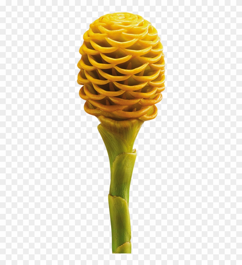 Flores Tropicales Maraca, HD Png Download - 870x864(#2920035) - PngFind Flores Tropicales Maraca, HD Png Download - 870x864(#2920035) - PngFind