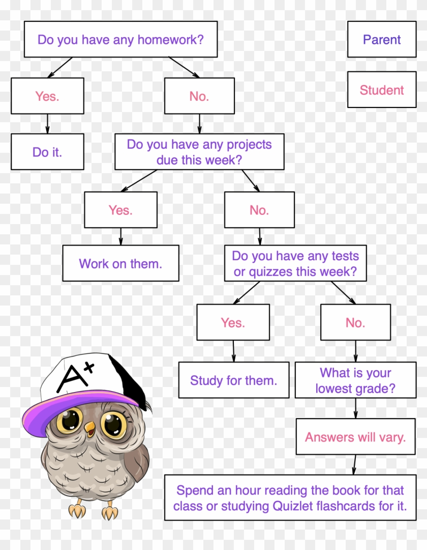 Homework is a verb picture