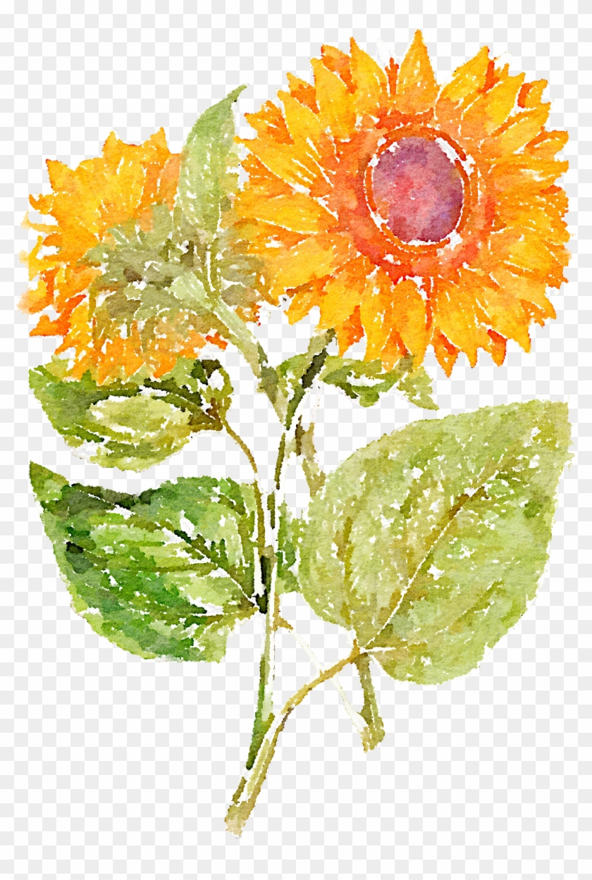 Hand Painted Sunflowers 1366*2048 Transprent Png - Girasol Pintado A Mano,  Transparent Png - 1342x1932(#2927356) - PngFind