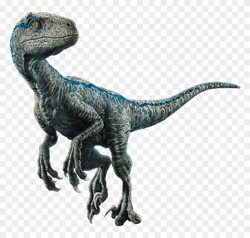 Blue The Velociraptor V4 By Sonichedgehog2 - Velociraptor Blue Png