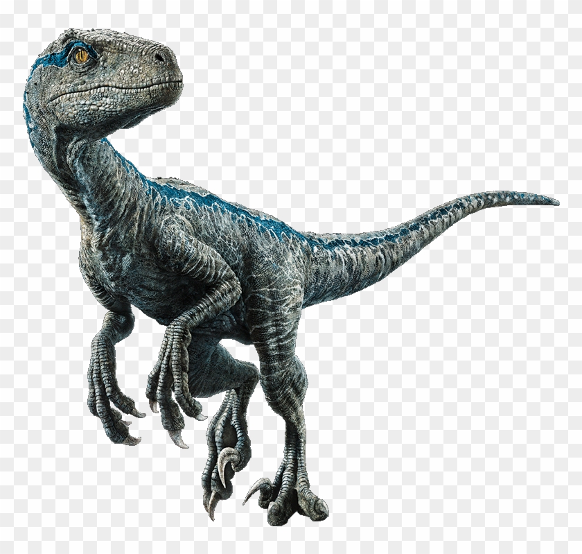 Blue The Velociraptor V4 By Sonichedgehog2 Velociraptor Blue Png 