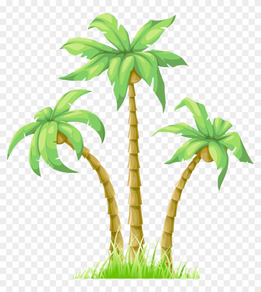 Graphic Black And White Download Cartoon Poster Coconut - Palm Trees  Drawing Colorful, HD Png Download - 868x928(#2968306) - PngFind