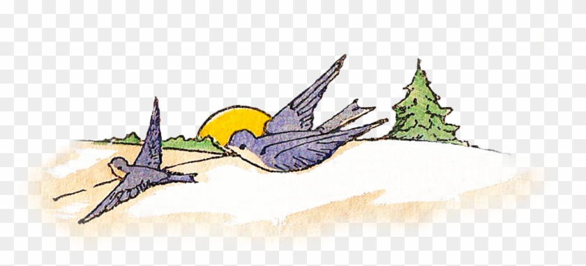Tree With Flyinh Birds Png, Transparent Png - 1500x649(#2974219) - PngFind
