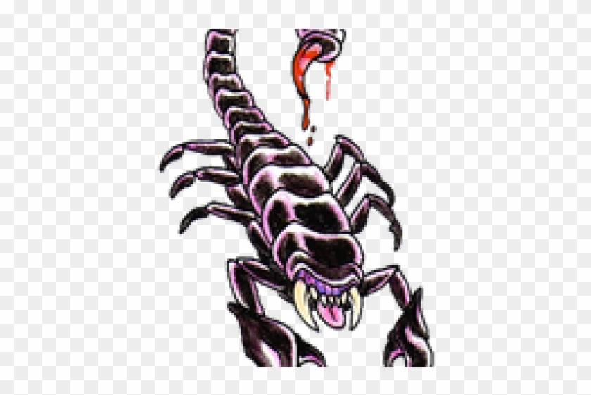 Scorpions PNG Picture Scorpion Tattoo Cultural Creation Sticker Scorpion  Poison Tattoo PNG Image For Free Download  Scorpion tattoo Creation  Festival posters