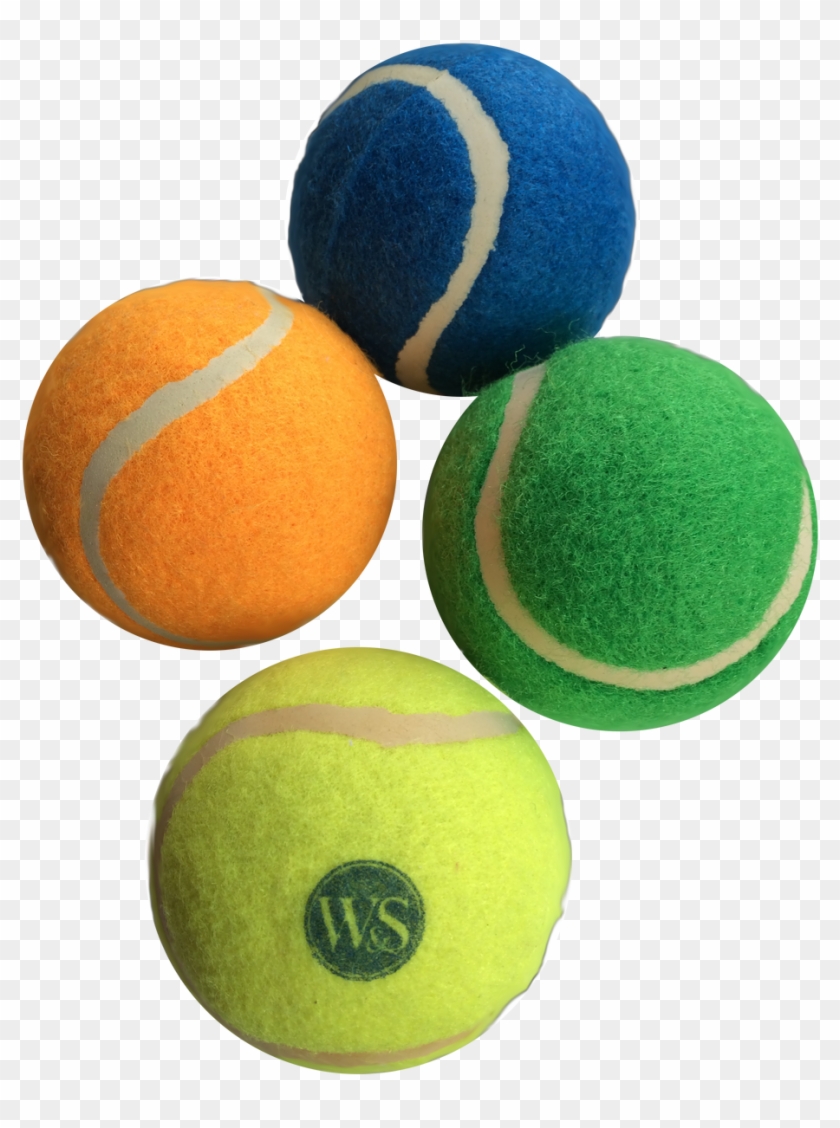 racket balls for dogs