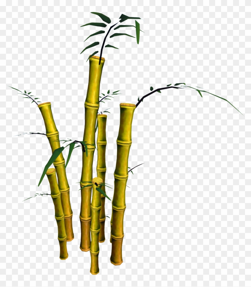 pix Transparent Background Bamboo Tree Clipart bamboo png download png image with
