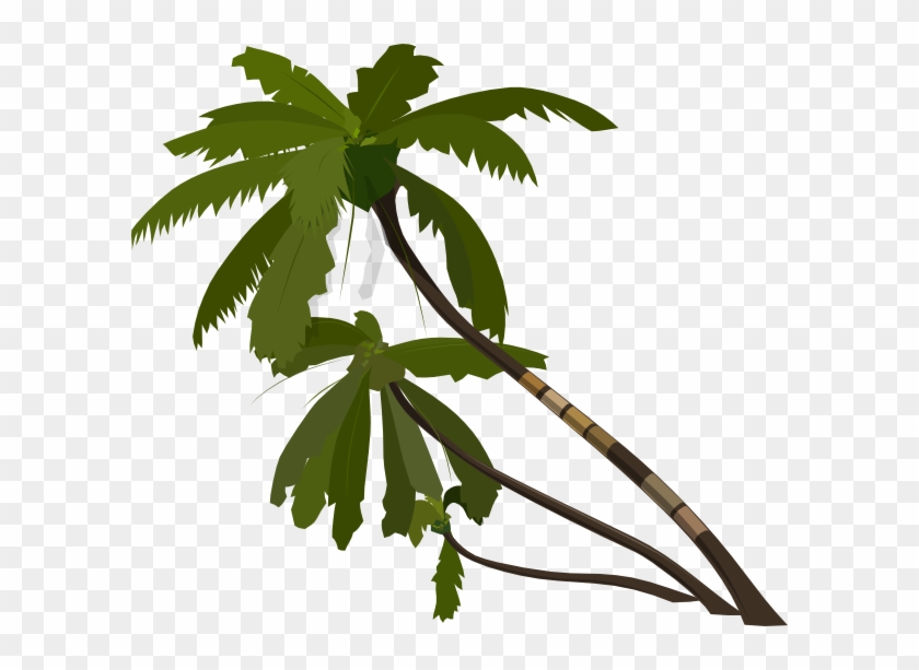 Jungle Trees Vector Png Transparent Png 600x533 Pngfind