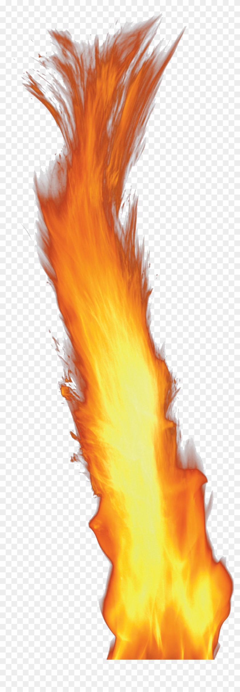 Fire Gif Png - Transparent Background Fire Png, Png Download -  1560x2917(#35588) - PngFind