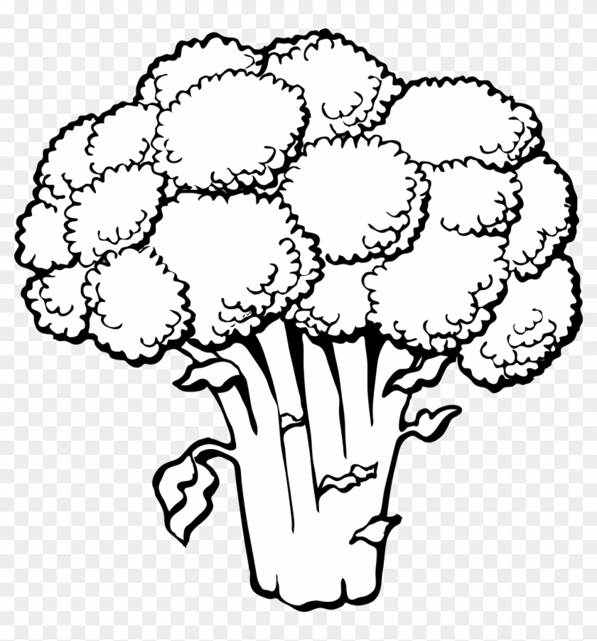 lettuce coloring page