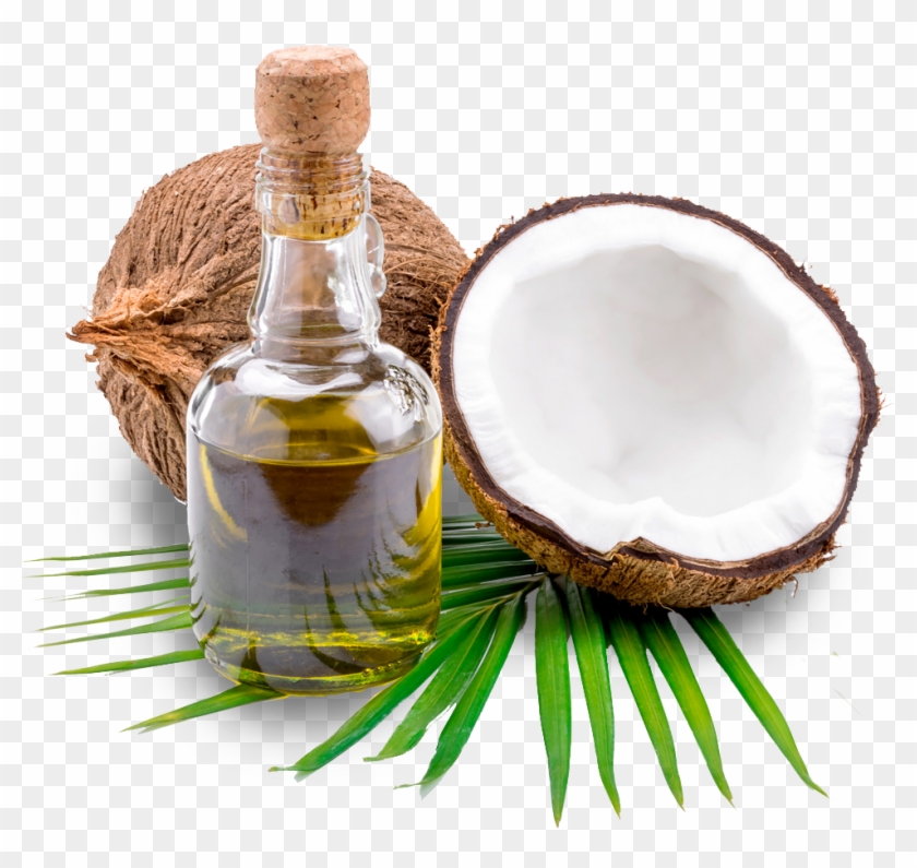 Pure Coconut Oil Png Transparent Png 979x880 3002380 PngFind gluten-free-coconut-oil-cookies-good-habits-guilty-pleasuresgood