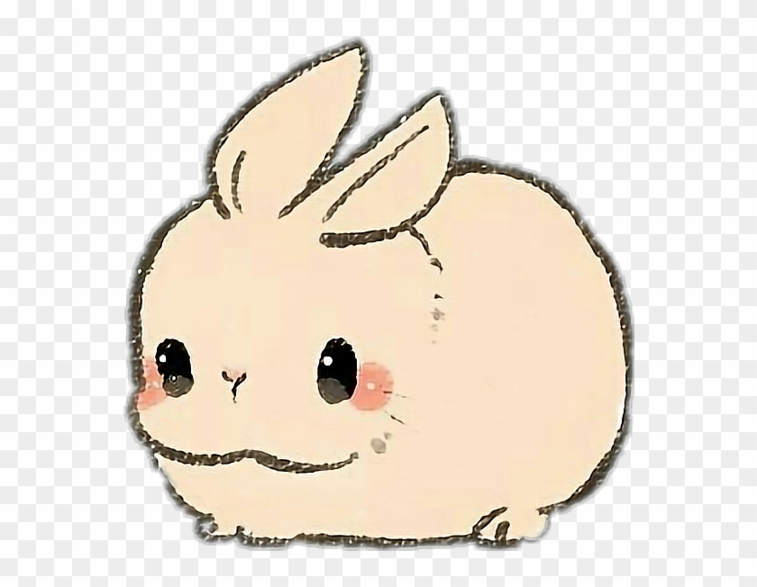 Rabbit Rabit Animal Pet Kawaii Cute Kawaii Cute Drawings Of Animals Hd Png Download 568x572 3005235 Pngfind