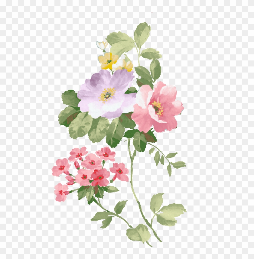 Rosas Vintage Rosas Vintage Flores Png Acuarela Transparent Png