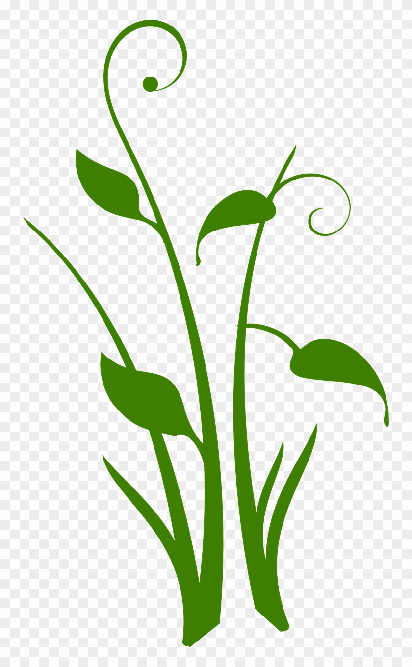 Green Plant Floral Design Swirl Png Image - Plant Design Png, Transparent  Png - 746x1280(#3015911) - PngFind