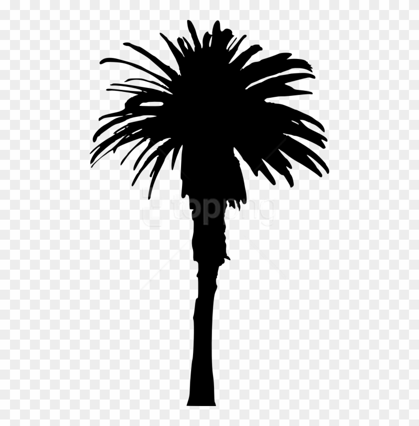 Free Png Palm Tree Png - Portable Network Graphics, Transparent Png ...