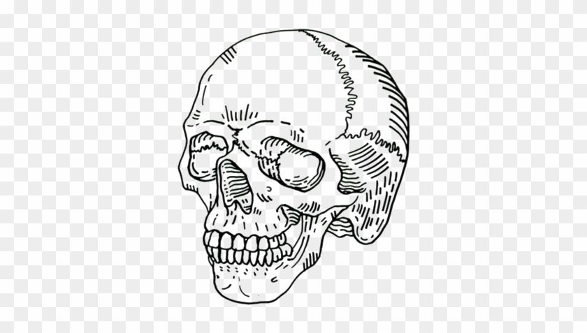 Ftestickers Sticker Skull Drawing Aesthetic Hd Png Download