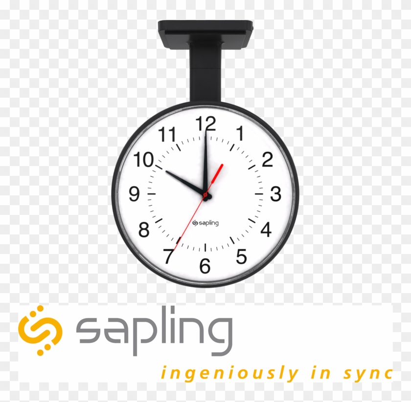 sapling-sapling-clock-hd-png-download-863x787-3024606-pngfind
