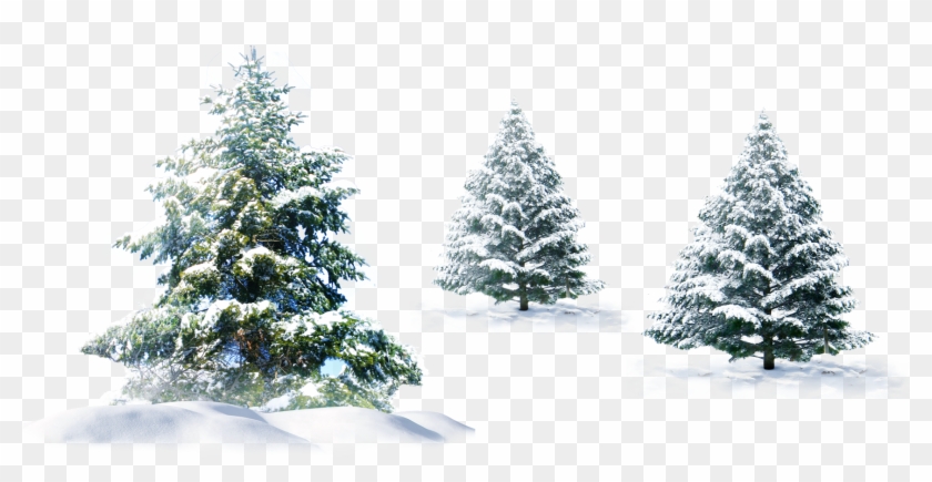 Free Free 83 Snow Pine Tree Svg SVG PNG EPS DXF File