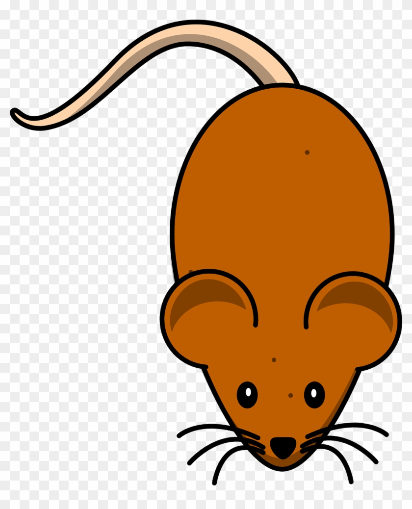 Mice Mouse Brown Rodent Animal Png Image - Cute Mouse Clip Art, Transparent  Png - 1077x1280(#3028530) - PngFind