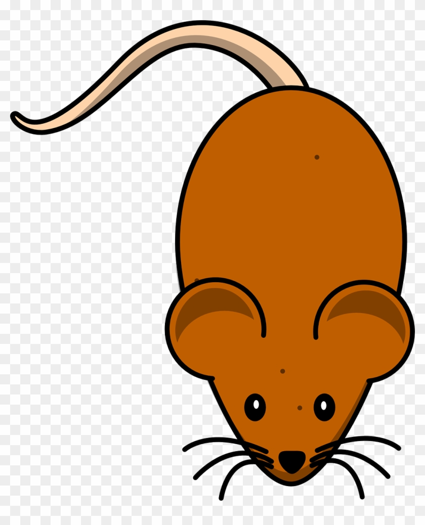Mice Mouse Brown Rodent Animal Png Image - Cute Mouse Clip Art, Transparent Png - 1077x1280(#3028530) - PngFind Mice Mouse Brown Rodent Animal Png Image - Cute Mouse Clip Art, Transparent Png - 1077x1280(#3028530) - PngFind