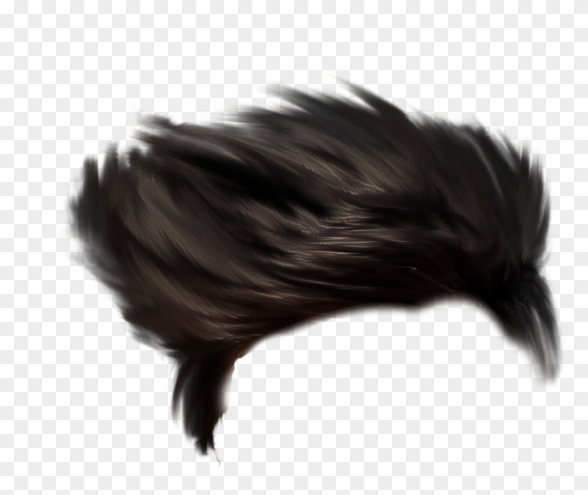 Stylish Hair Png - Men Black Hair Png, Transparent Png - 1150x815(#3029618) - PngFind Stylish Hair Png - Men Black Hair Png, Transparent Png - 1150x815(#3029618) - PngFind