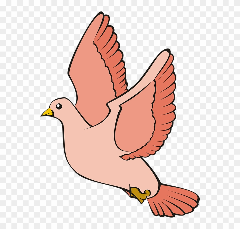 Bird, Pigeon, Flight, Sky, Red, Adobe, Adobe Photoshop - Burung Merpati  Cartoon, HD Png Download - 558x720(#3076673) - PngFind