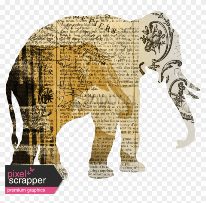 Free Png Animal Kingdom Png Image With Transparent Indian Elephant Png Download 850x798 Pngfind Free Png Animal Kingdom Png Image With Transparent Indian Elephant Png Download 850x798 Pngfind