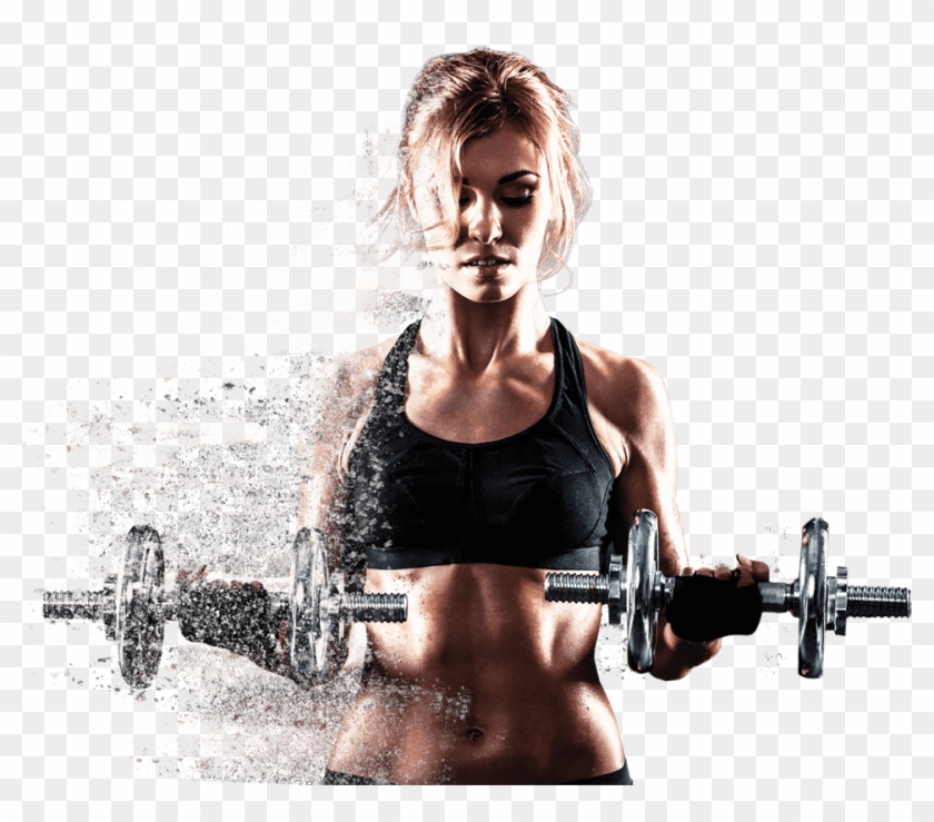 Fat Loss For Women - Transparent Background Gym Workout Images Png, Png  Download - 992x800(#312913) - PngFind