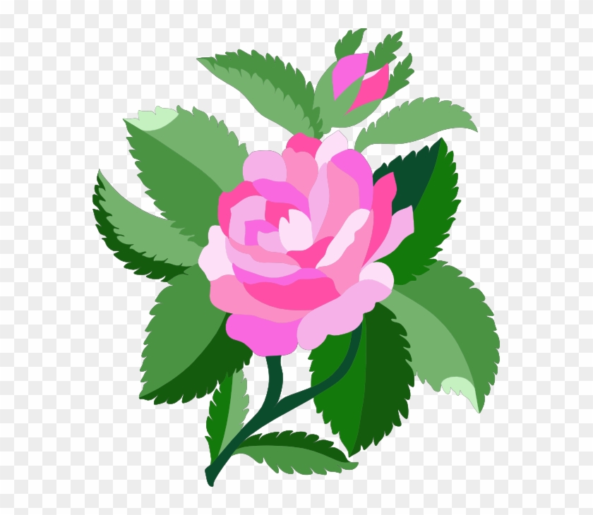 Flowers Vectors Clipart Rose - Pink Animated Rose, HD Png Download -  577x650(#315408) - PngFind