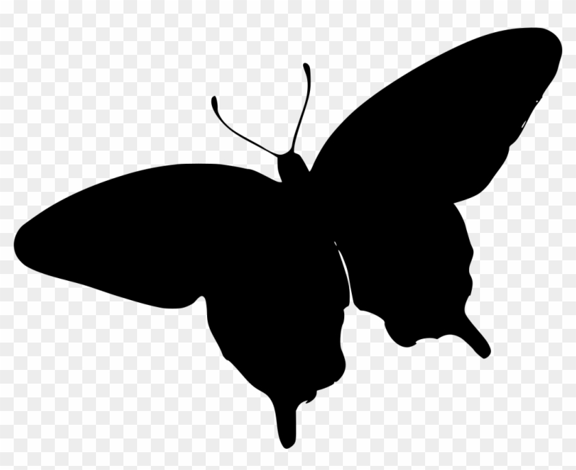 Free Free Svg Butterfly Animation 855 SVG PNG EPS DXF File