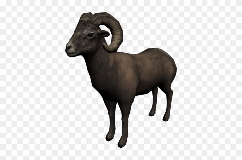 Red Dead Redemption Bighorn Sheep