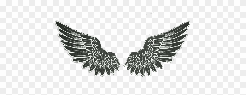 Alas Sticker Wings Logo Png Transparent Png 549x549 3153277
