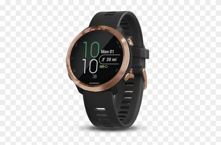 forerunner 645m slate