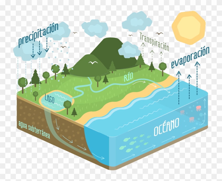 Ciclo Del Agua - 3d Water Cycle Diagram, HD Png Download - 800x662