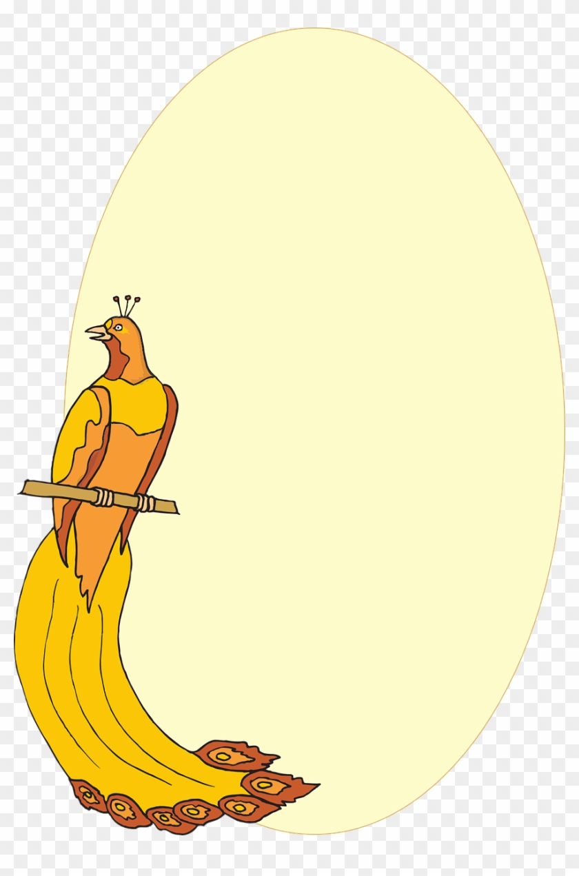 Peacock Bird Of Pardise Peafowl Png Image Bingkai Art Burung