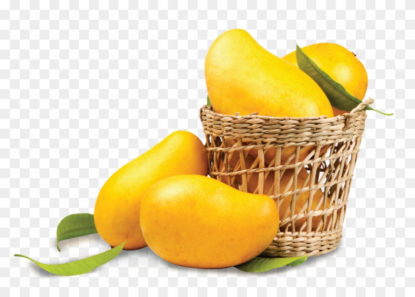 lassi for free download on mbtskoudsalg mango background hd png download 2153x1521 3180404 pngfind mango background hd png download