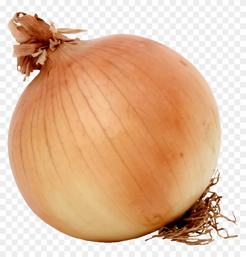 Download Free Onion - Onion Clipart, HD Png Download - 787x800(#320527