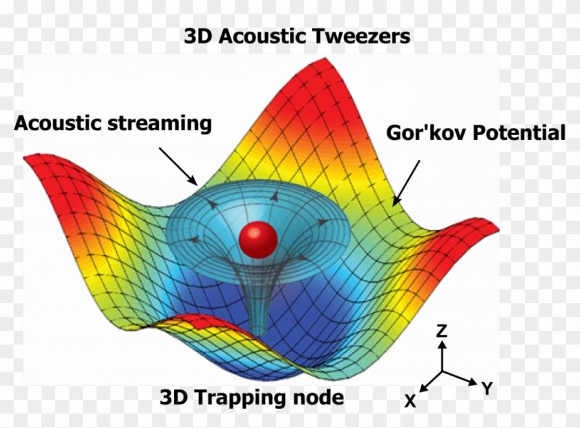 Numerical Simulation Results Mapping The Acoustic Field - Acoustic ...