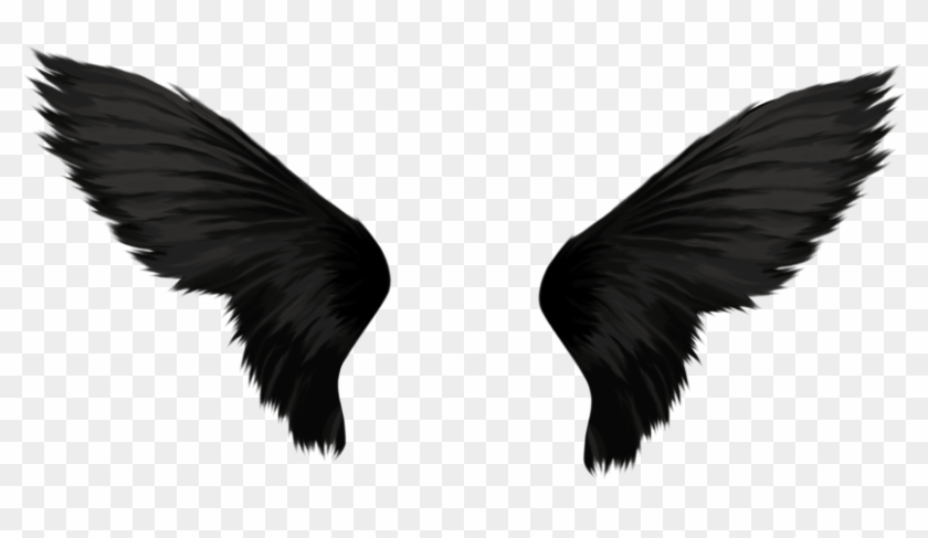 Free Png Download Black Wings Png Images Background Black Angel Wings