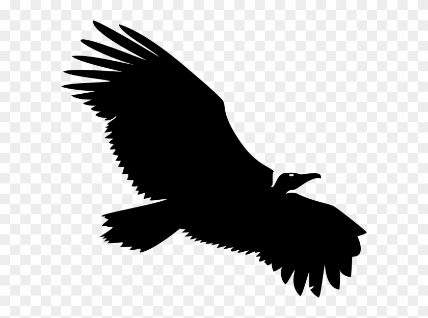 Small - Vulture Vector, HD Png Download - 600x544(#3201639) - PngFind