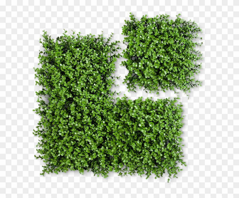 small boxwood artificial hedge grass hd png download 900x900 3211943 pngfind small boxwood artificial hedge grass