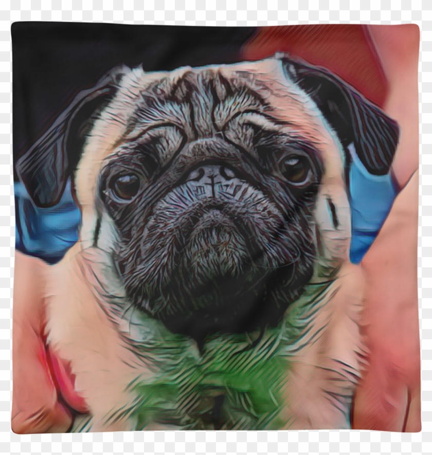 pug pillow case