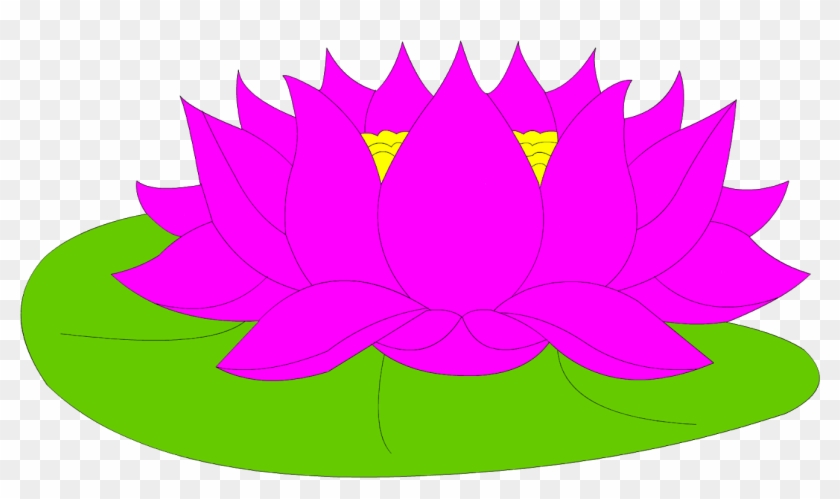 why lotus is national flower of india