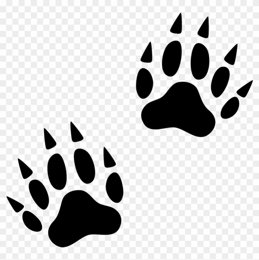 Transparent Paw Wolverine - Wolverine Foot Prints, HD Png Download