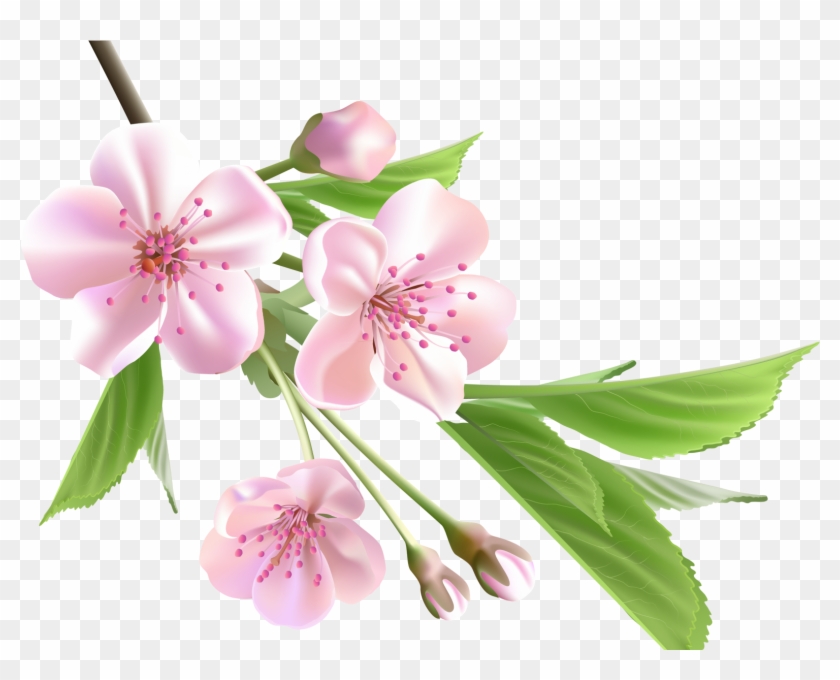 Flower Tree Background Png, Transparent Png - 1600x1200(#3252016) - PngFind