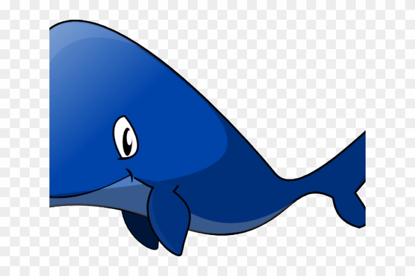 Animated Whale, HD Png Download - 640x480(#3257405) - PngFind