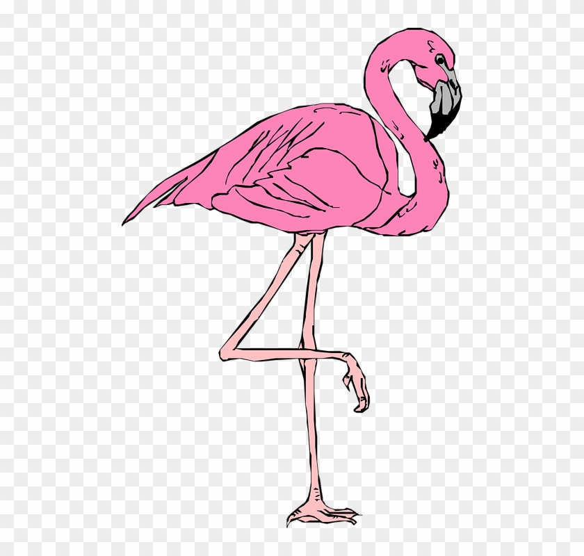 Desenho Flamingo Png Roblox T Shirt Flamingo Transparent Png
