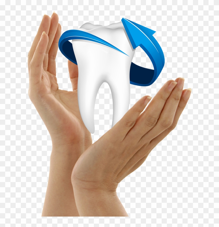 single teeth png free download dentistry transparent png 805x1139 3266635 pngfind single teeth png free download