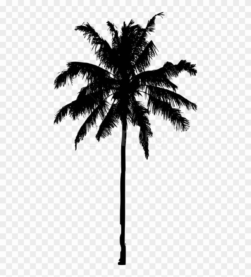 Free Png Palm Tree Silhouette Png Images Transparent - Palm Tree ...