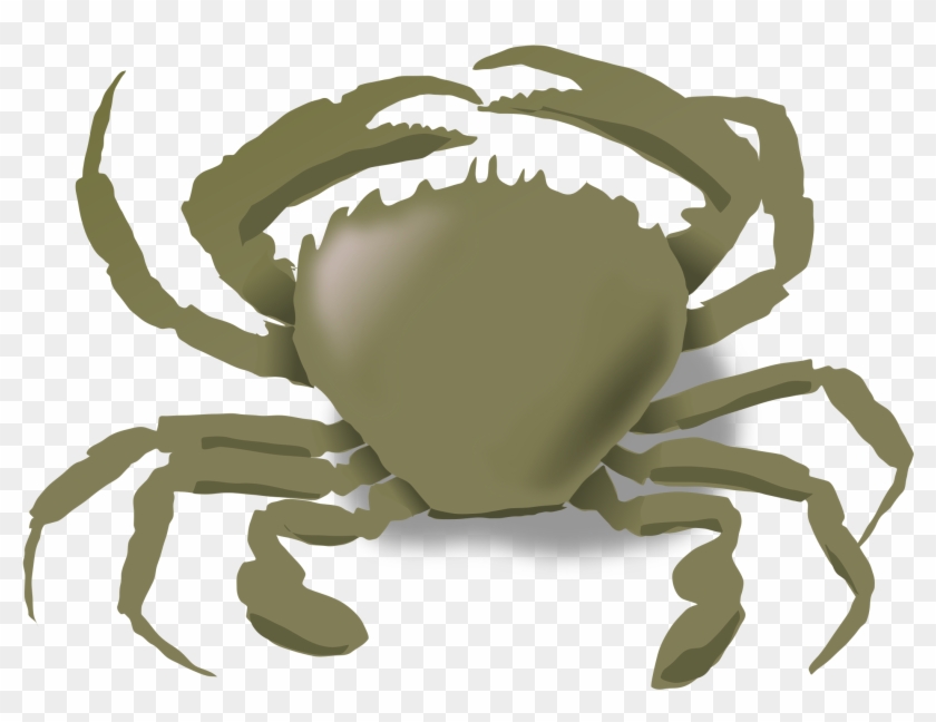The Crab Big Image Png - Animals Live In The Water, Transparent Png - 2400x1800(#3296552) - PngFind The Crab Big Image Png - Animals Live In The Water, Transparent Png - 2400x1800(#3296552) - PngFind