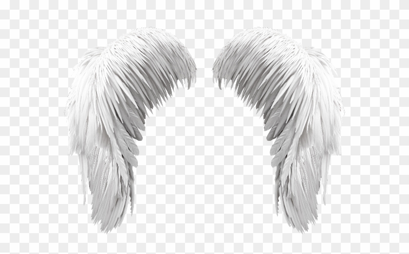 Featured image of post Angel Halo Png White Large collections of hd transparent angel halo png images for free download